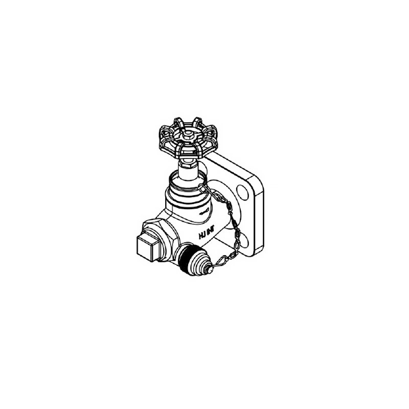 1" Straight Flange Globe Valve With Side Sampler