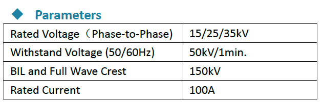 15/25/35kV 100A Dual Voltage Switch